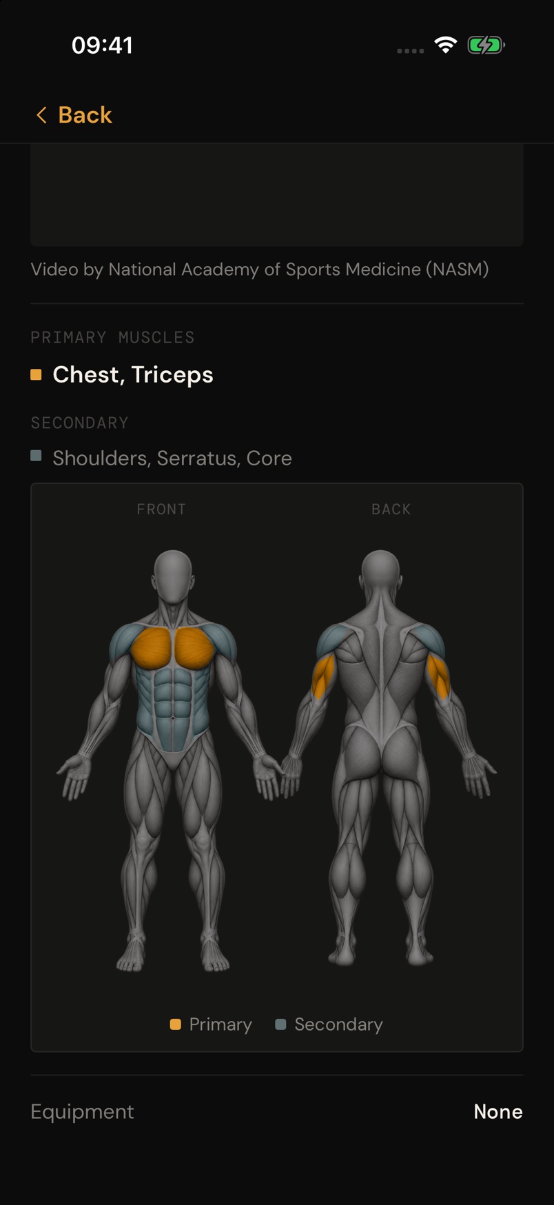 OnlyBody · know your muscles